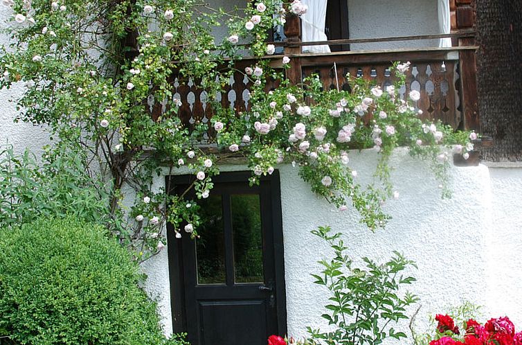 Vakantiehuis Altes Pfarrhaus, Surcasti, (Surcasti).