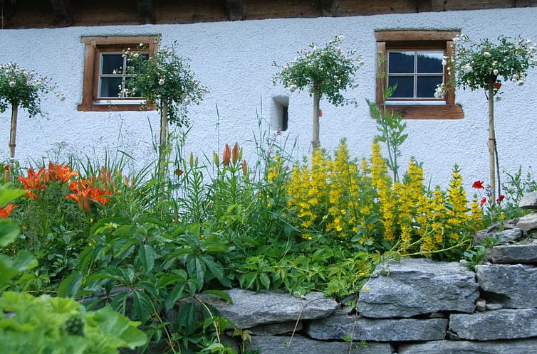 Vakantiehuis Altes Pfarrhaus, Surcasti, (Surcasti).