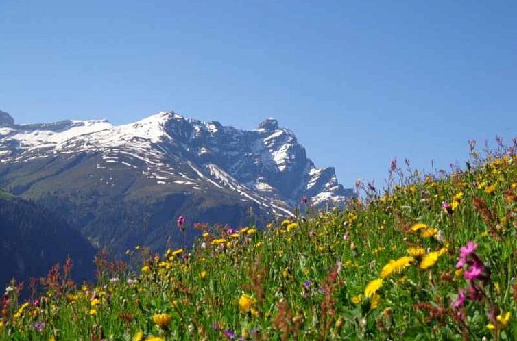 Appartement Gün Derungs, Safien-Platz, (Safien Platz).