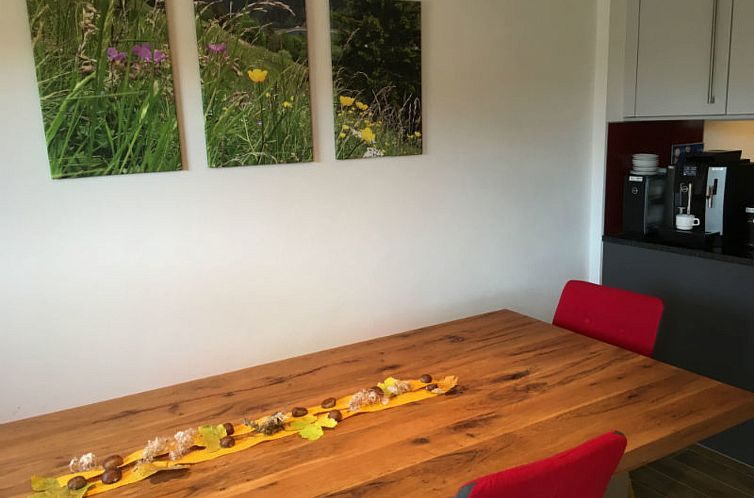 Appartement dem Himmel ein Stück näher, Safien-Thalkirch, 