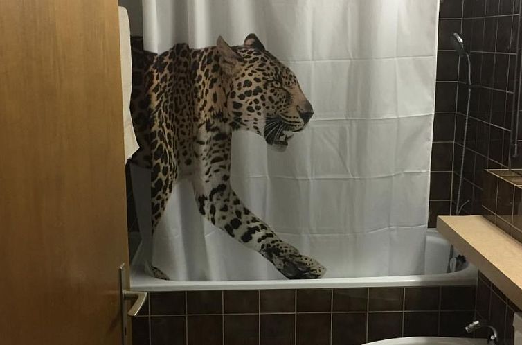 Appartement Gemütliche Ferienwohnung im Disentiserhof