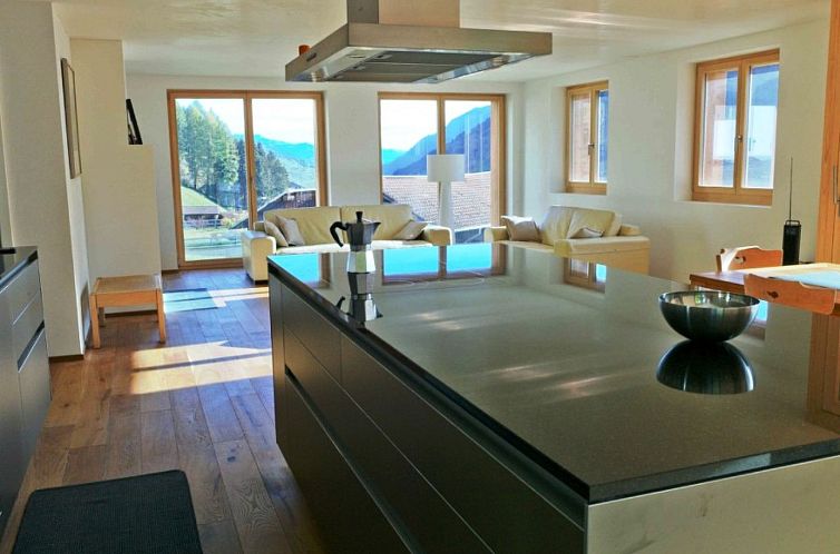 Appartement AlpsRelax GmbH, (Disentis/Mustér).