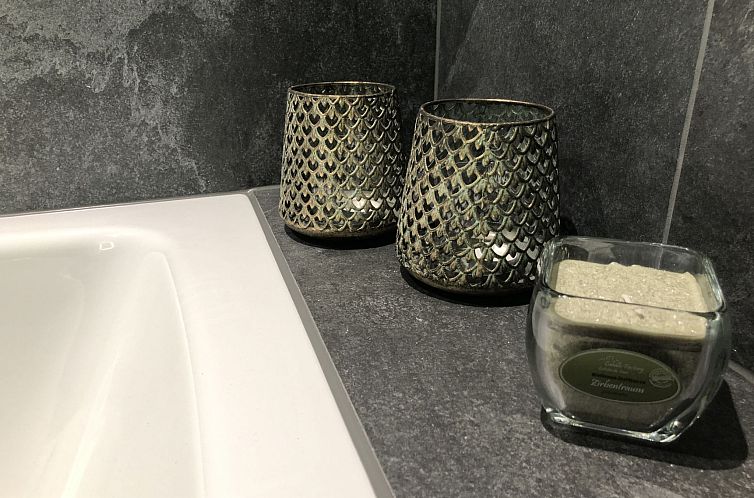 Appartement CATRINA RESORT, (Disentis / Mustér).