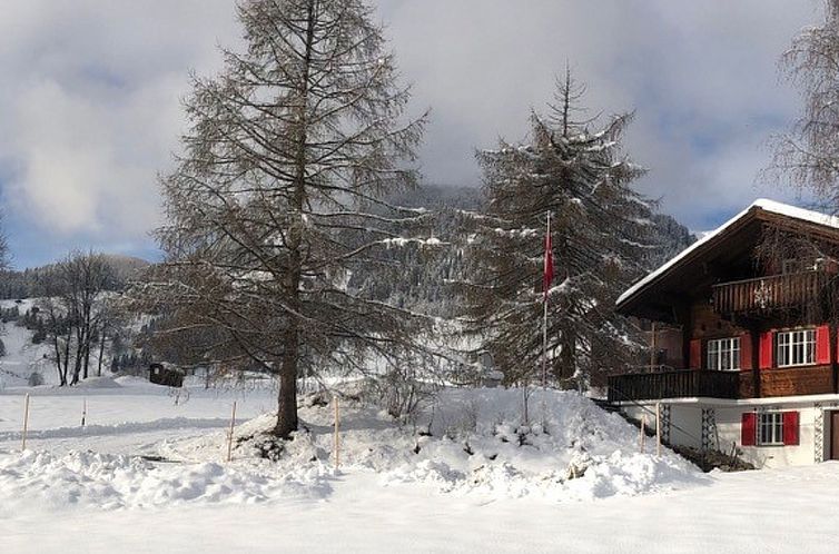 Vakantiehuis Steiger-Nellen Buretsch, (Segnas/Disentis).