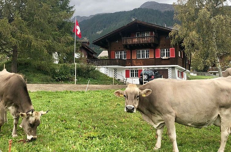 Vakantiehuis Steiger-Nellen Buretsch, (Segnas/Disentis).