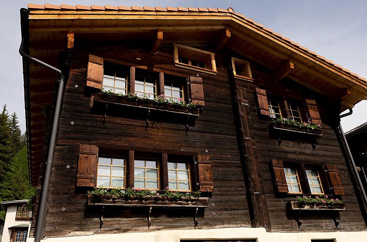 Guest house 1825556 - Apartment Under Gräub / Grisons - Appartement Casa Zuela, (Segnas/Disentis).