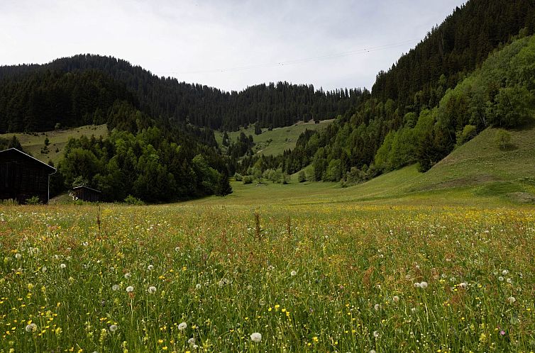 Appartement Casa Zuela, (Segnas/Disentis).