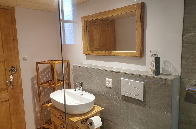Appartement ANSAUNA appartaments, (Segnas/Disentis).
