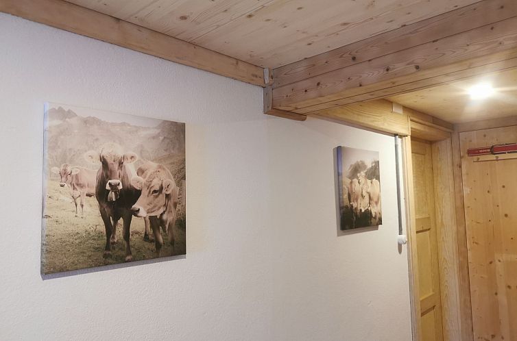Appartement ANSAUNA appartaments, (Segnas/Disentis).