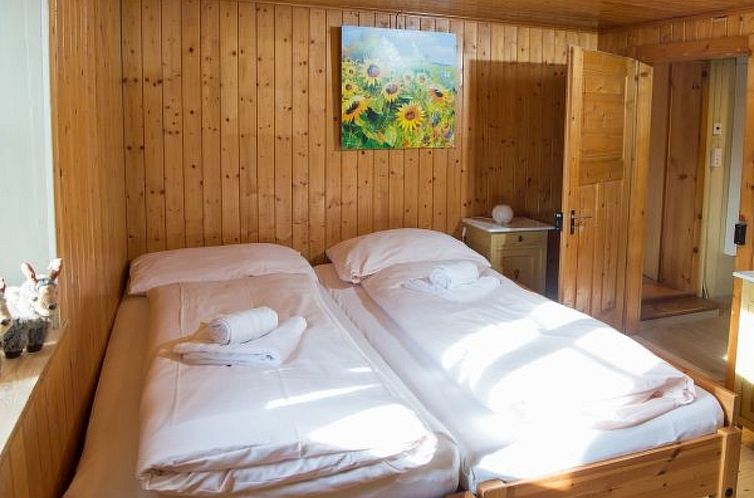 Vakantiehuis Haus Schmitten - Davos