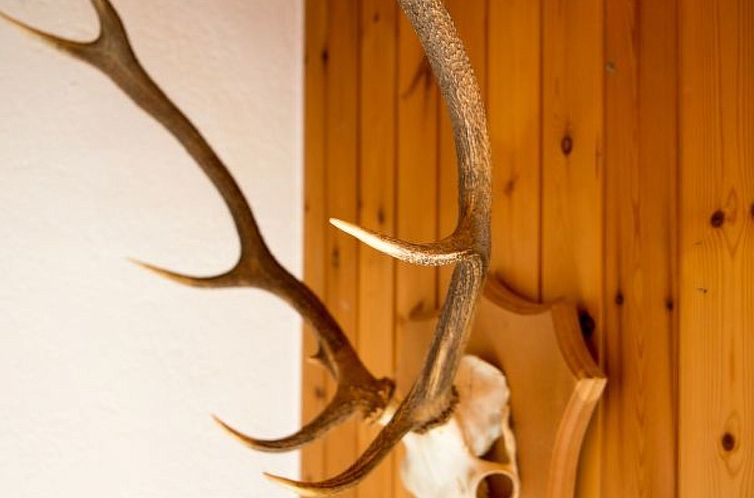 Vakantiehuis Haus Schmitten - Davos