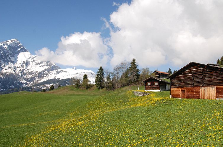 Appartement Maiensäss Casaritsch, (Urmein).