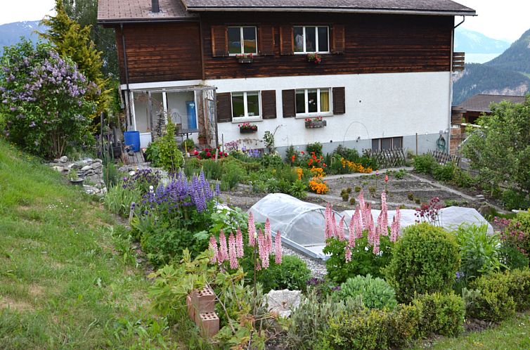 Appartement Wohnung Hof Coms, (Urmein).