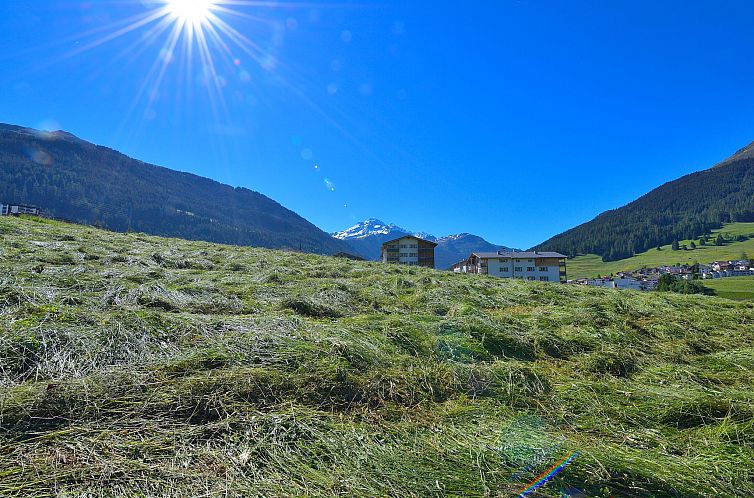 Appartement Surses Alpin