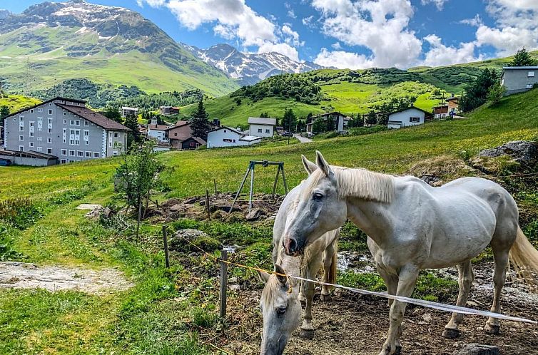 Appartement mit Panoramablick in die Bergwelt