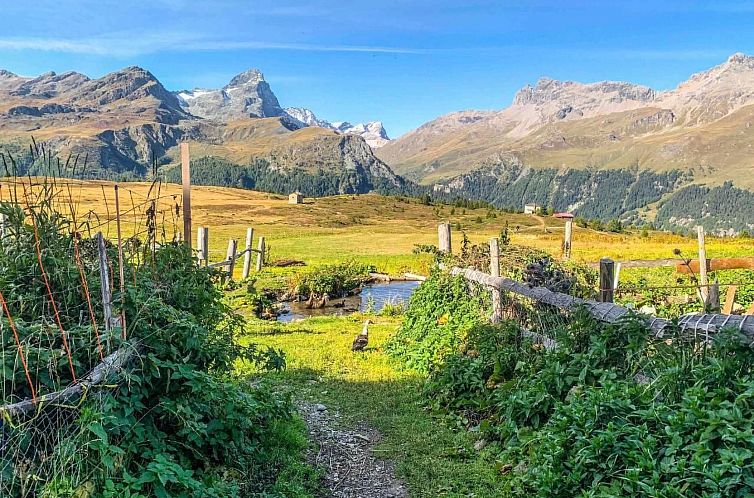 Appartement mit Panoramablick in die Bergwelt