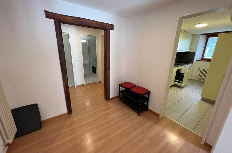 Appartement Chesa Fischer / Wohnung Palü / ÖV-Inklusive