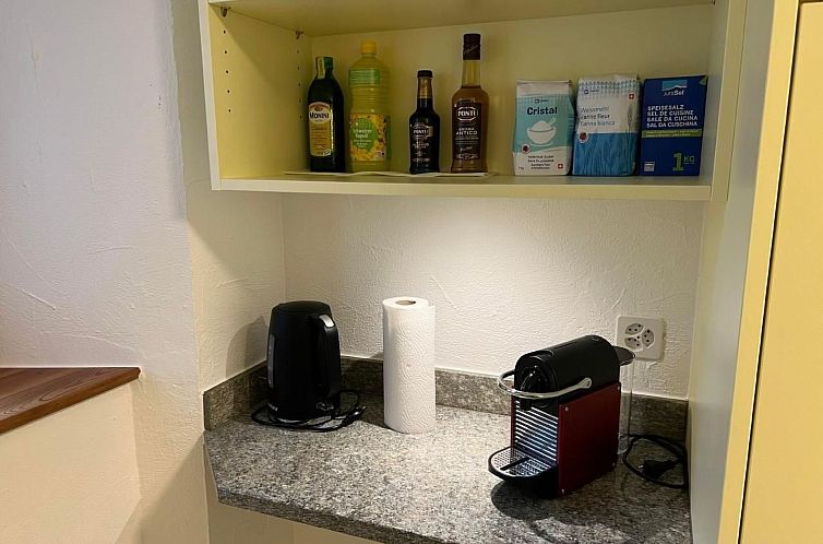 Appartement Chesa Fischer / Wohnung Palü / ÖV-Inklusive