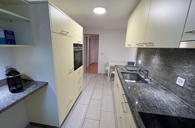 Appartement Chesa Fischer / Wohnung Palü / ÖV-Inklusive