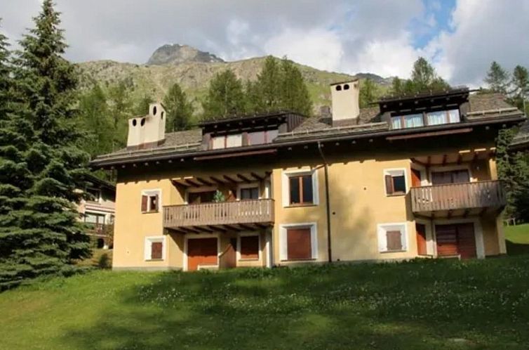 Guest house 1826821 - Apartment Under Gräub / Grisons - Appartement Chesa Sella C5, Triaca