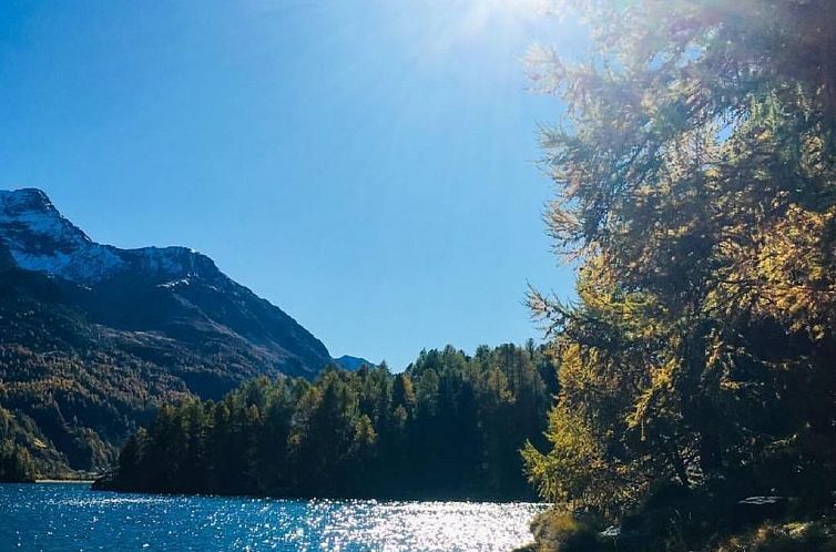 Appartement Maisonette Alpenrose