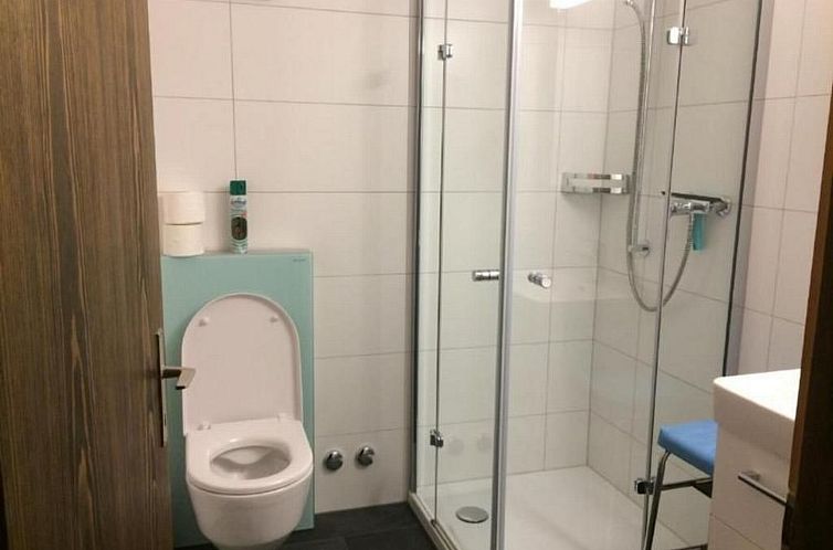 Appartement Chesa Arnica 5