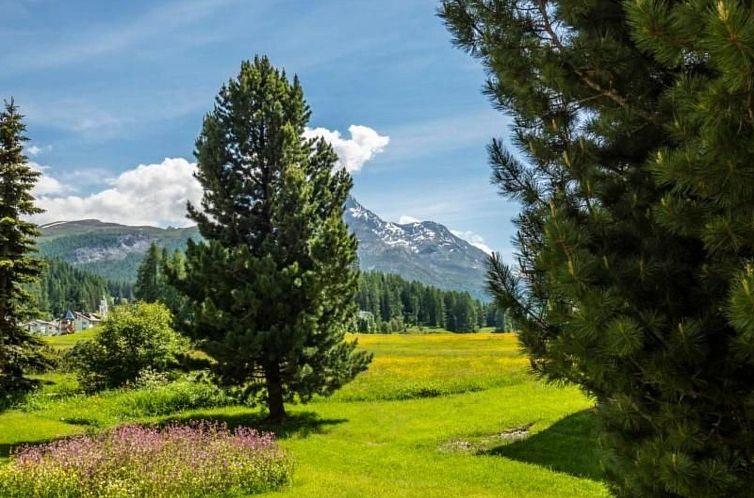 Appartement Chesa Arnica 2 - ÖV inklusive