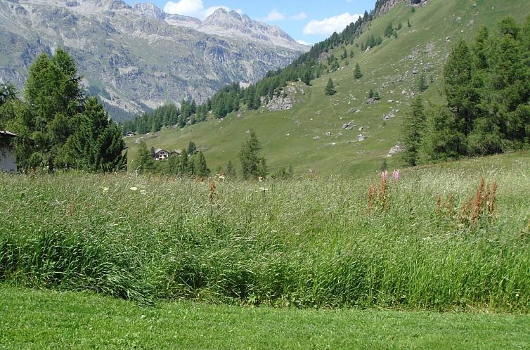 Appartement Chesa Fümm Fex