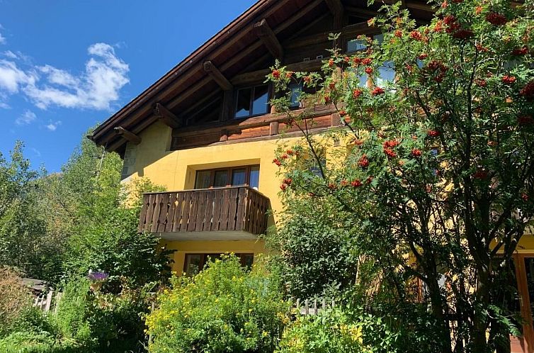 Appartement Wohnung Grün