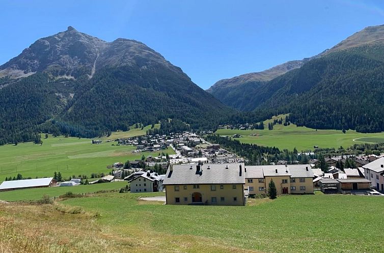 Appartement Wohnung Grün