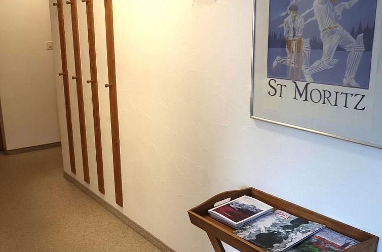 Appartement Wohnung Grün