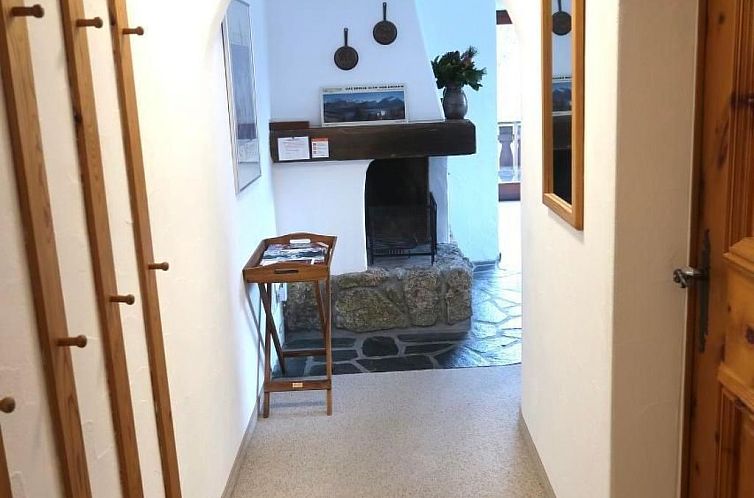 Appartement Wohnung Grün