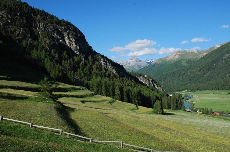 Appartement Arnica 3