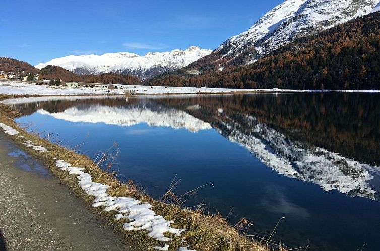 Appartement 2 Zi. Whg.