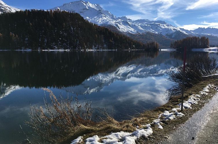 Appartement 2 Zi. Whg.