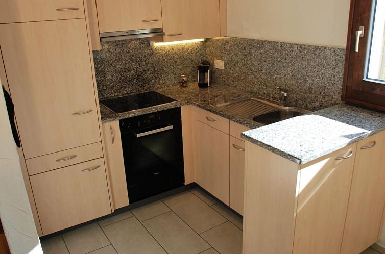 Appartement Chesa Arnica A1