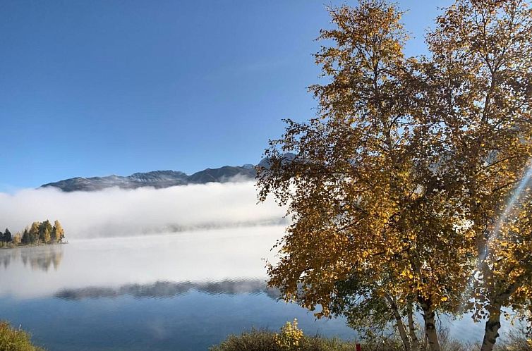 Appartement Chesa Arnica A1