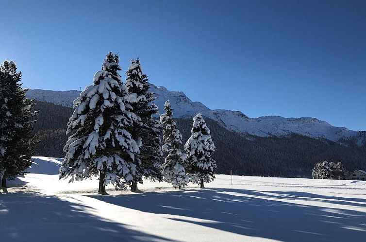 Appartement Chesa Arnica A1