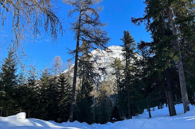 Appartement Chesa Giannuot
