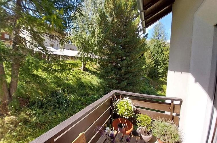 Appartement Chesa Susanna