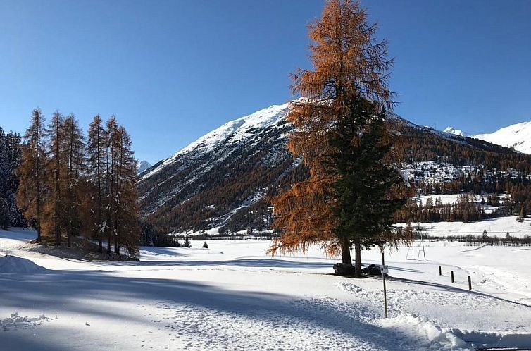 Appartement Engadin 2 1/2 Zi-Wg