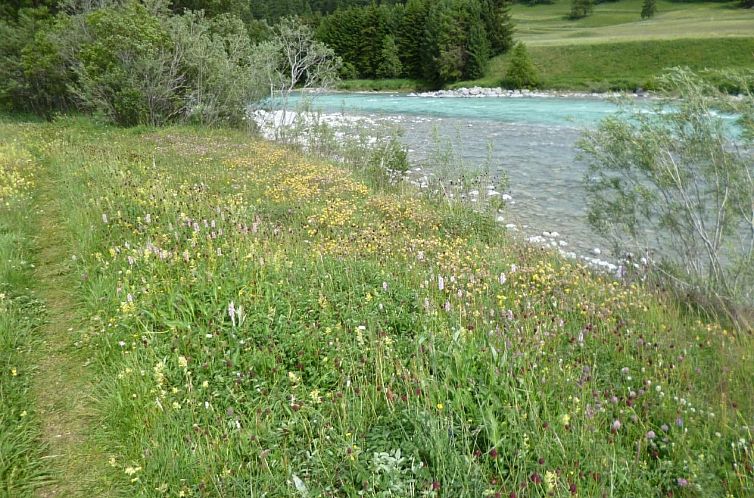 Appartement Chesa Blais