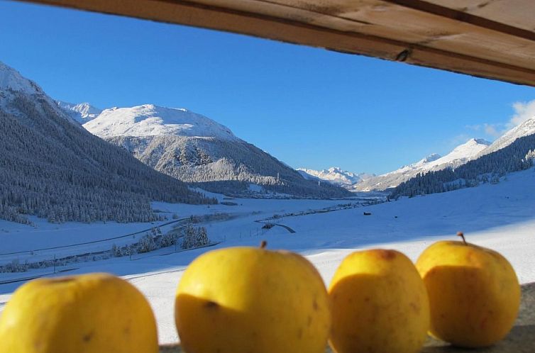 Appartement Chesa Larschigna