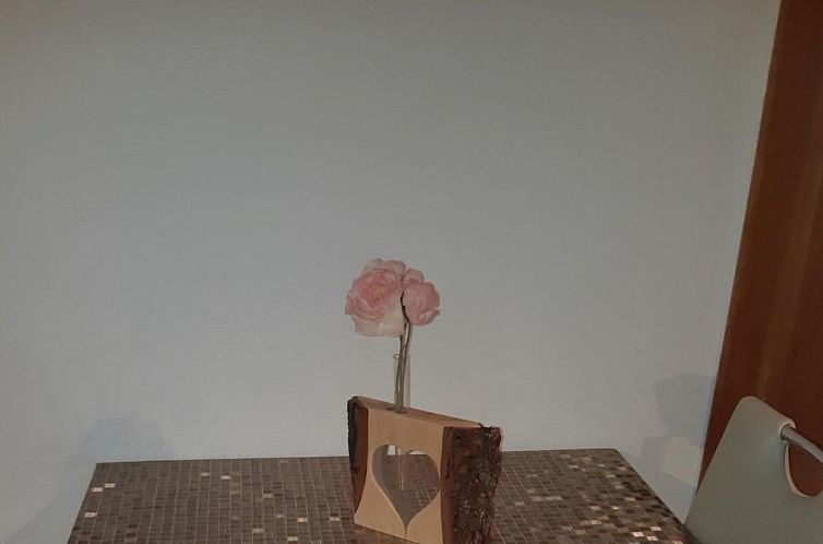Appartement Wohnen im alten Bauernhaus,Wohnung EG