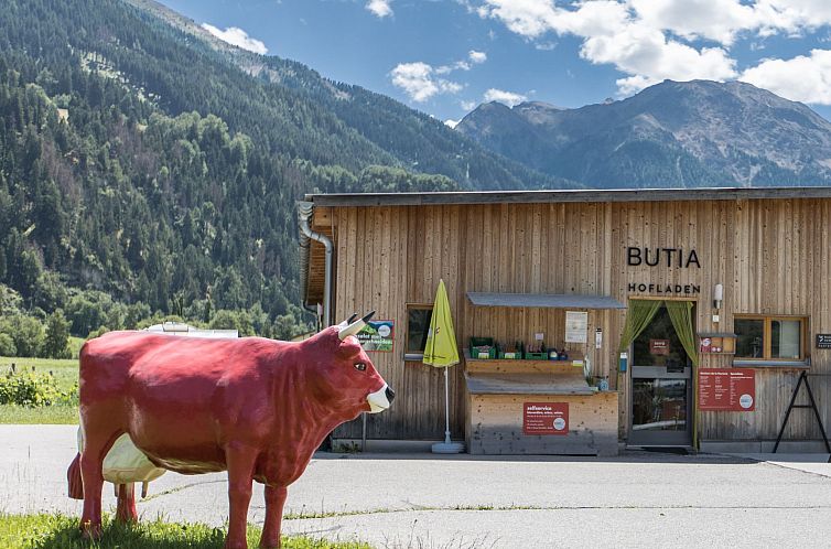 Appartement Agrotourismus Bauernhof Puntetta, (Müstair).