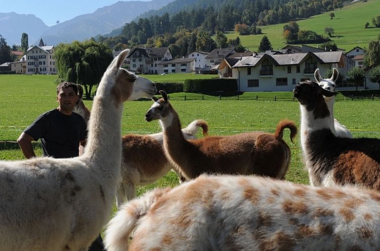 Appartement Agrotourismus Bauernhof Puntetta, (Müstair).