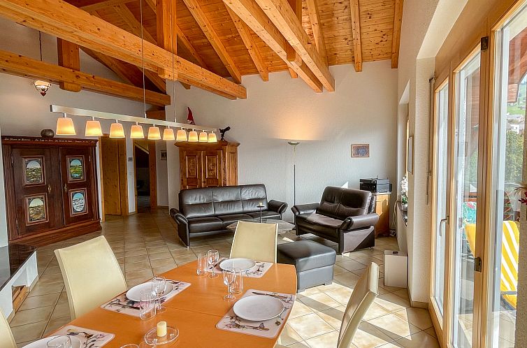 Appartement Penthouse Brugg