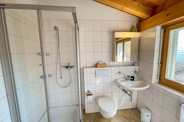 Appartement Penthouse Brugg