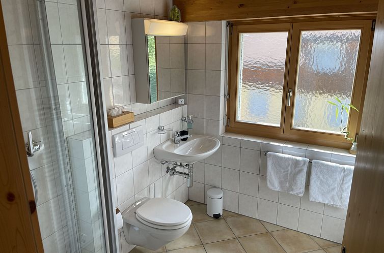 Appartement Penthouse Brugg