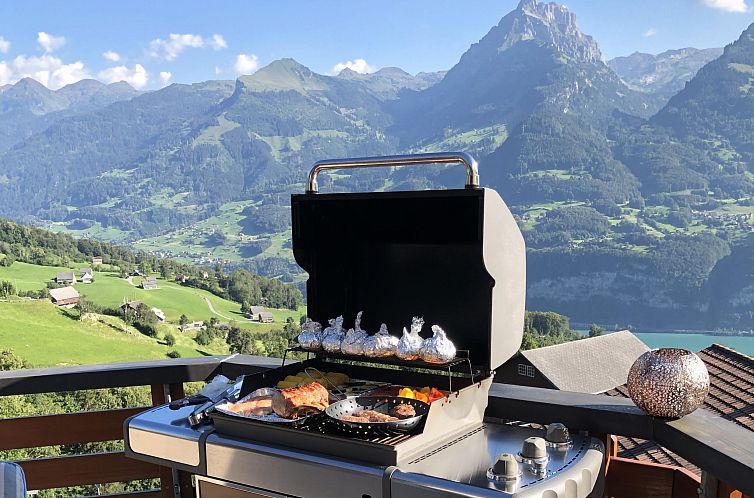 Appartement Penthouse Brugg